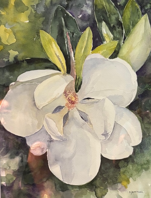 Magnolia by Scott Jamison