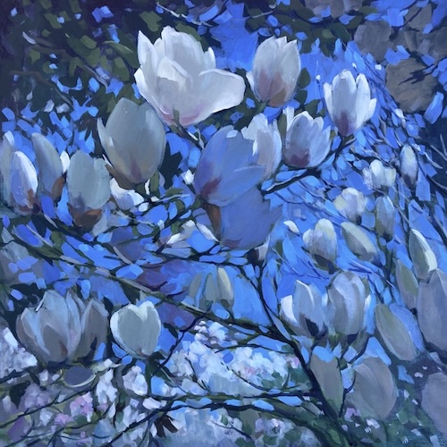 Magnolia