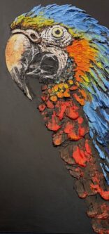 Alexandre E. Brazilian Parrot
